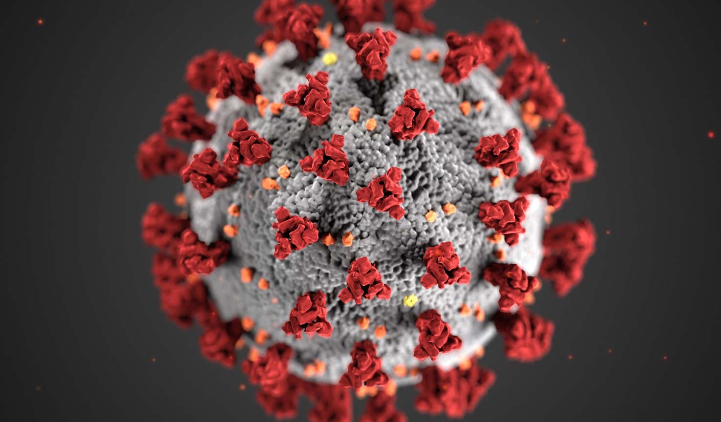 Image of Coronavirus Disease 2019 (COVID-19)